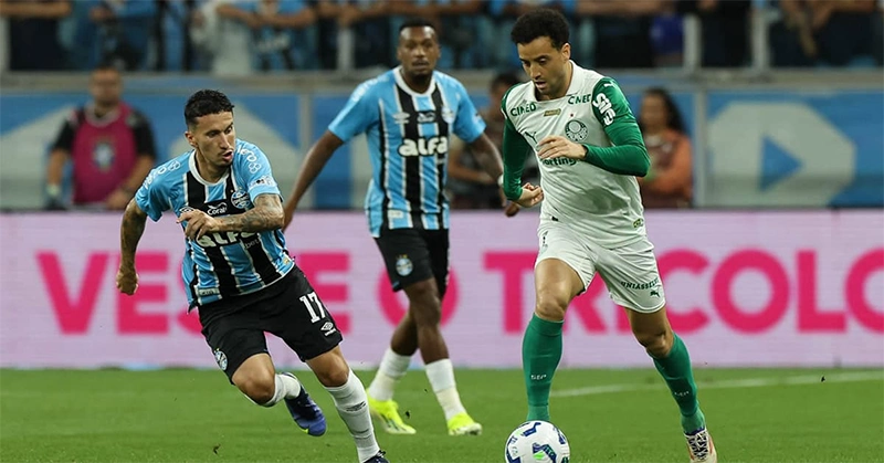 Gremio (RS) vs Palmeiras highlights