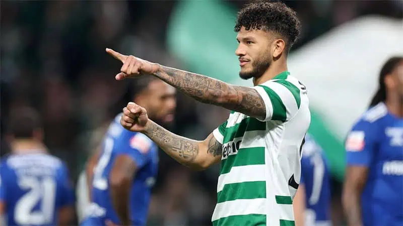 Sporting CP vs AVS Futebol SAD highlights