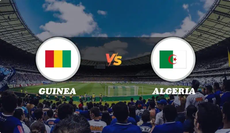 Guinea vs Algeria Highlights