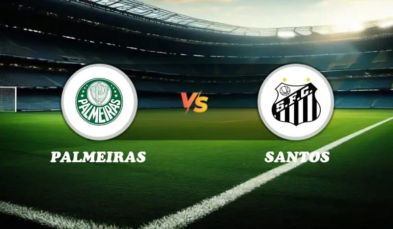 Palmeiras vs Santos Highlights