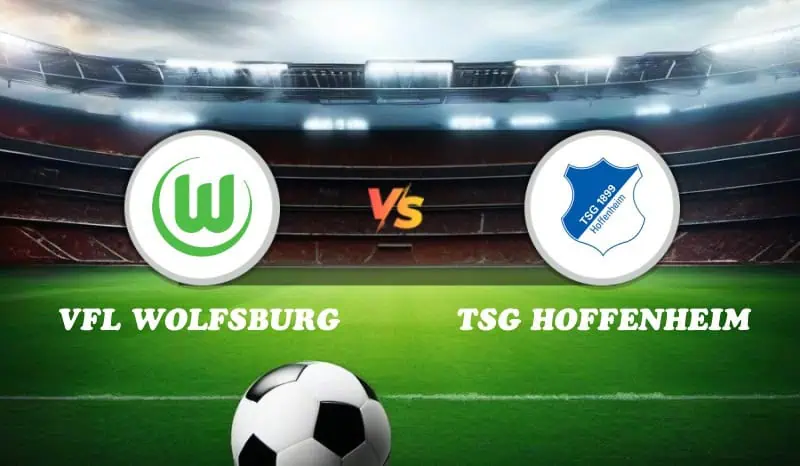 VfL Wolfsburg vs TSG Hoffenheim Highlights