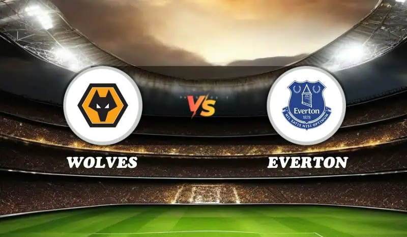 Wolves vs Everton Highlights