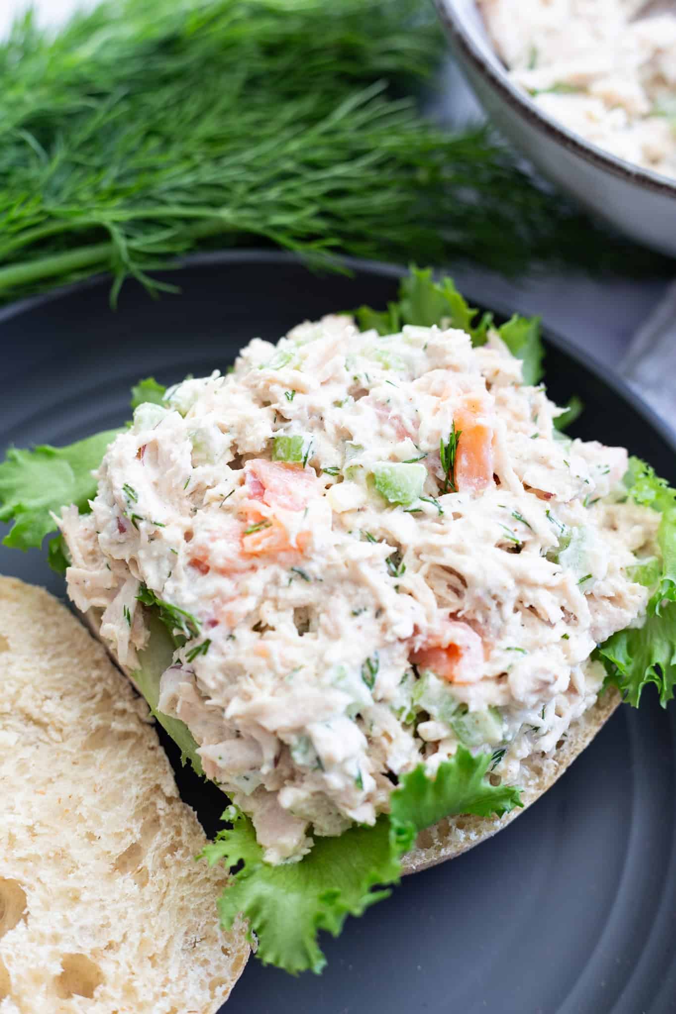 Smoked salmon tuna salad placed on Ciabatta bread and a bed of lettuce.