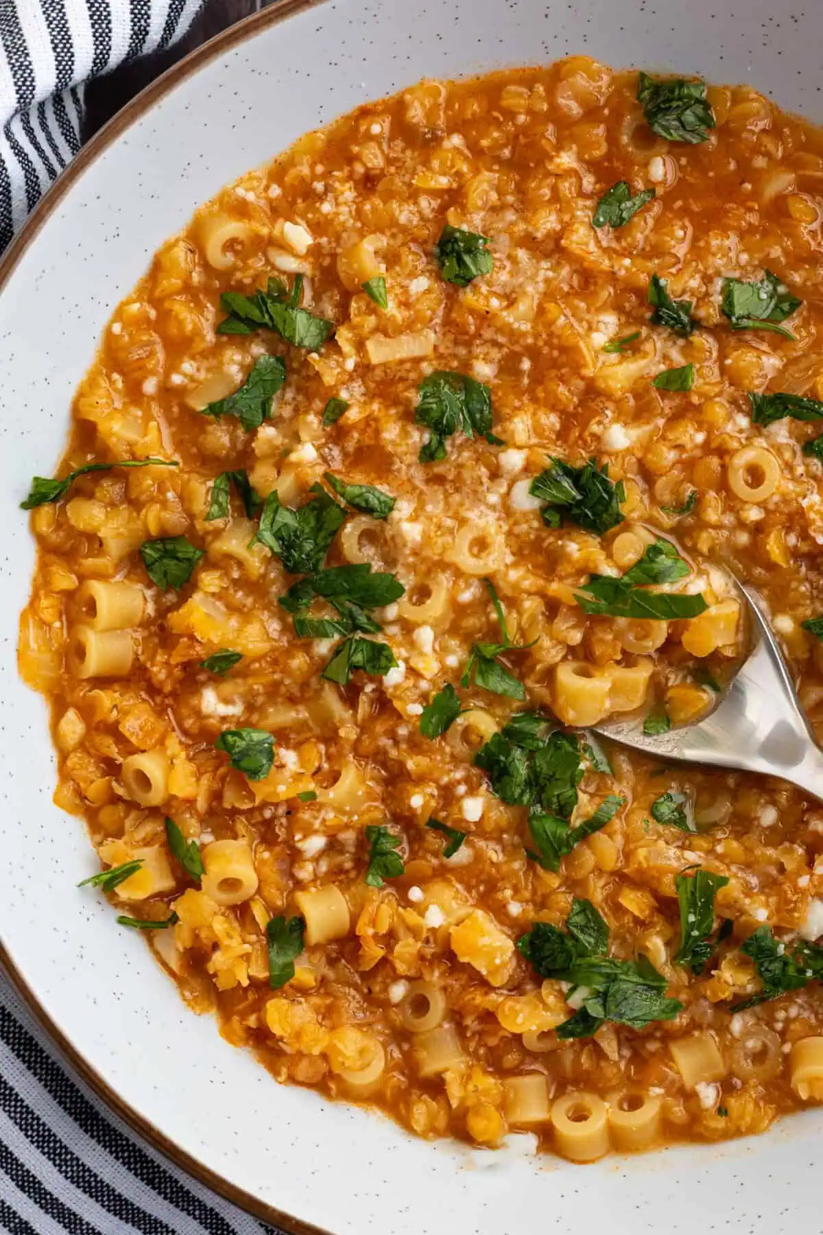 A bowl of comforting Italian lentil soup with pasta.
