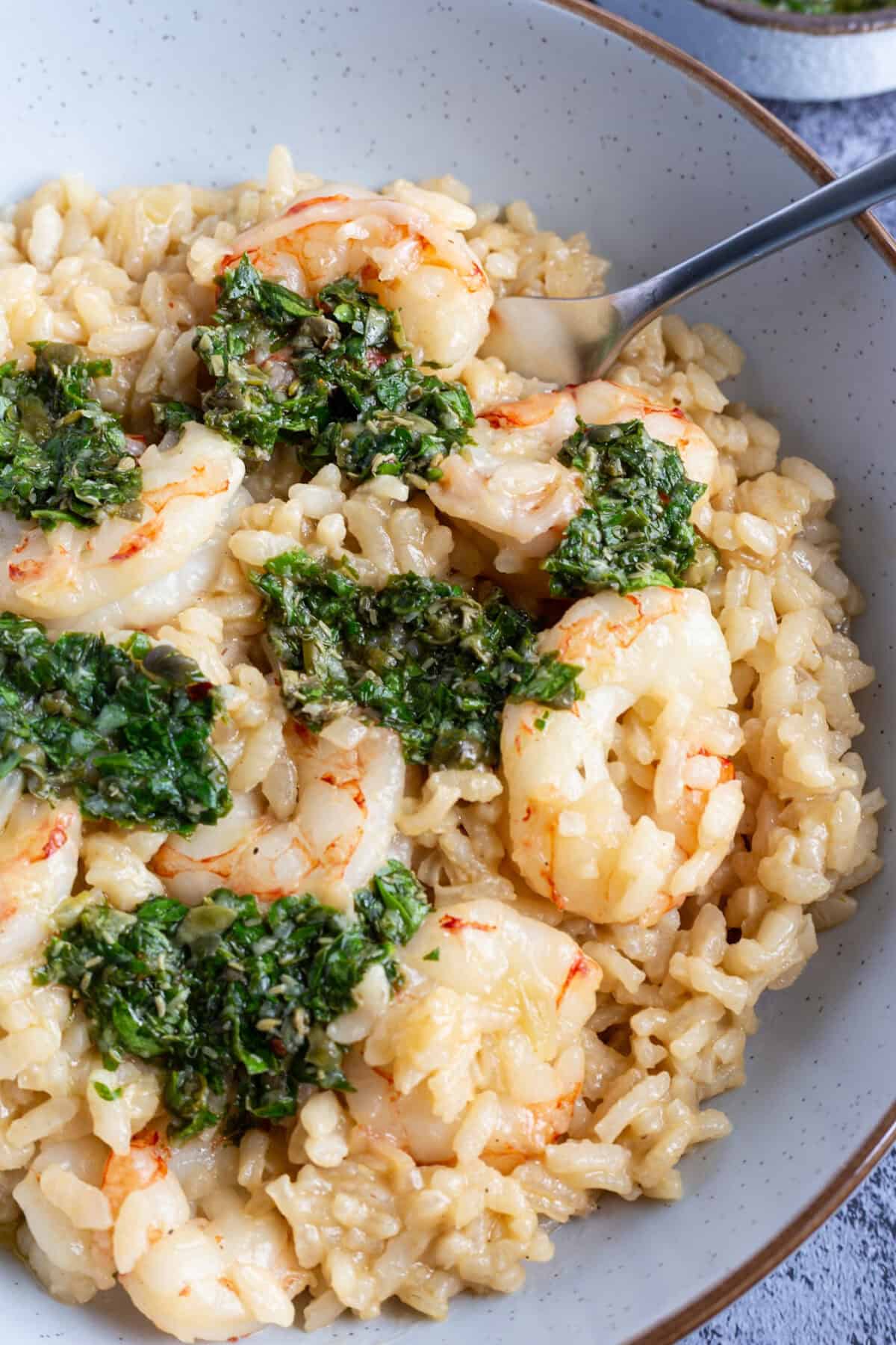 A bowl of Italian salsa verde shrimp and rice.