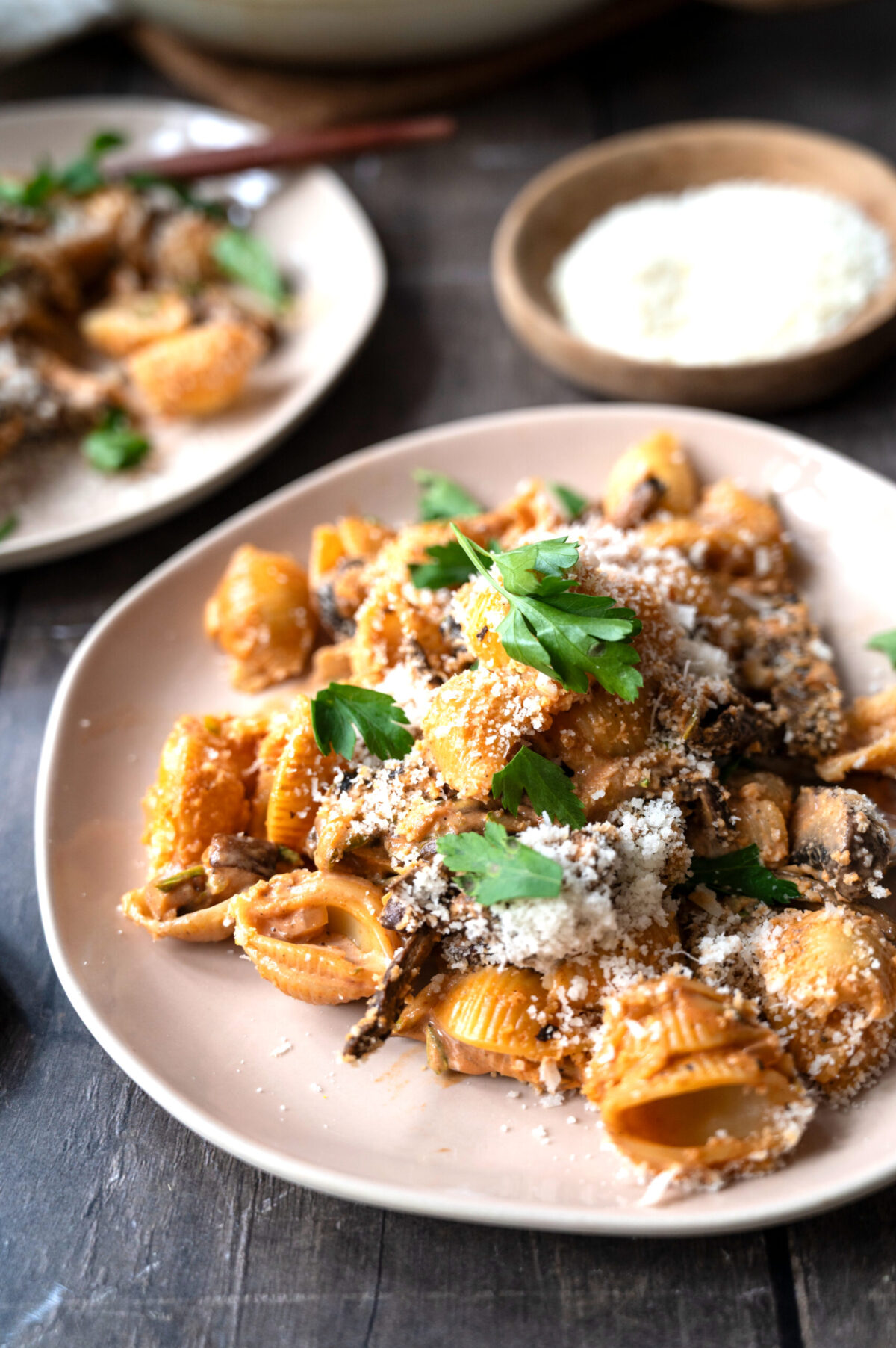 A plate of creamy porcini pasta.