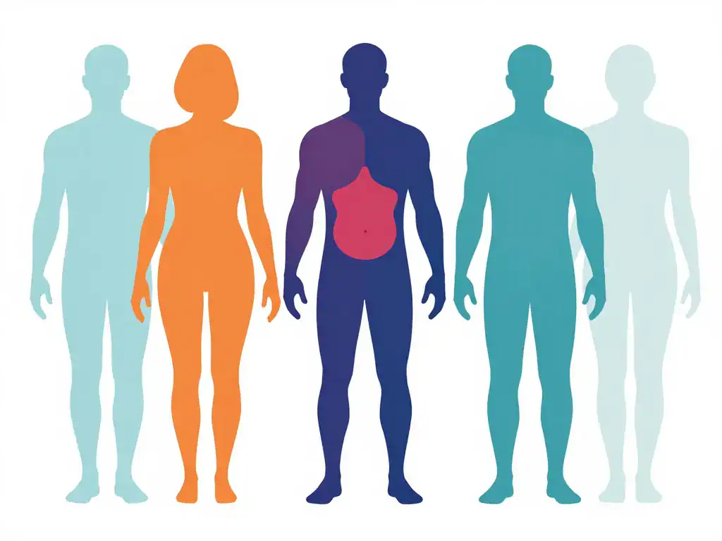 diagramme bases partie du corps en anglais
