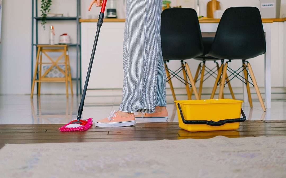 How to Clean Up Puppy Accidents the Right Way