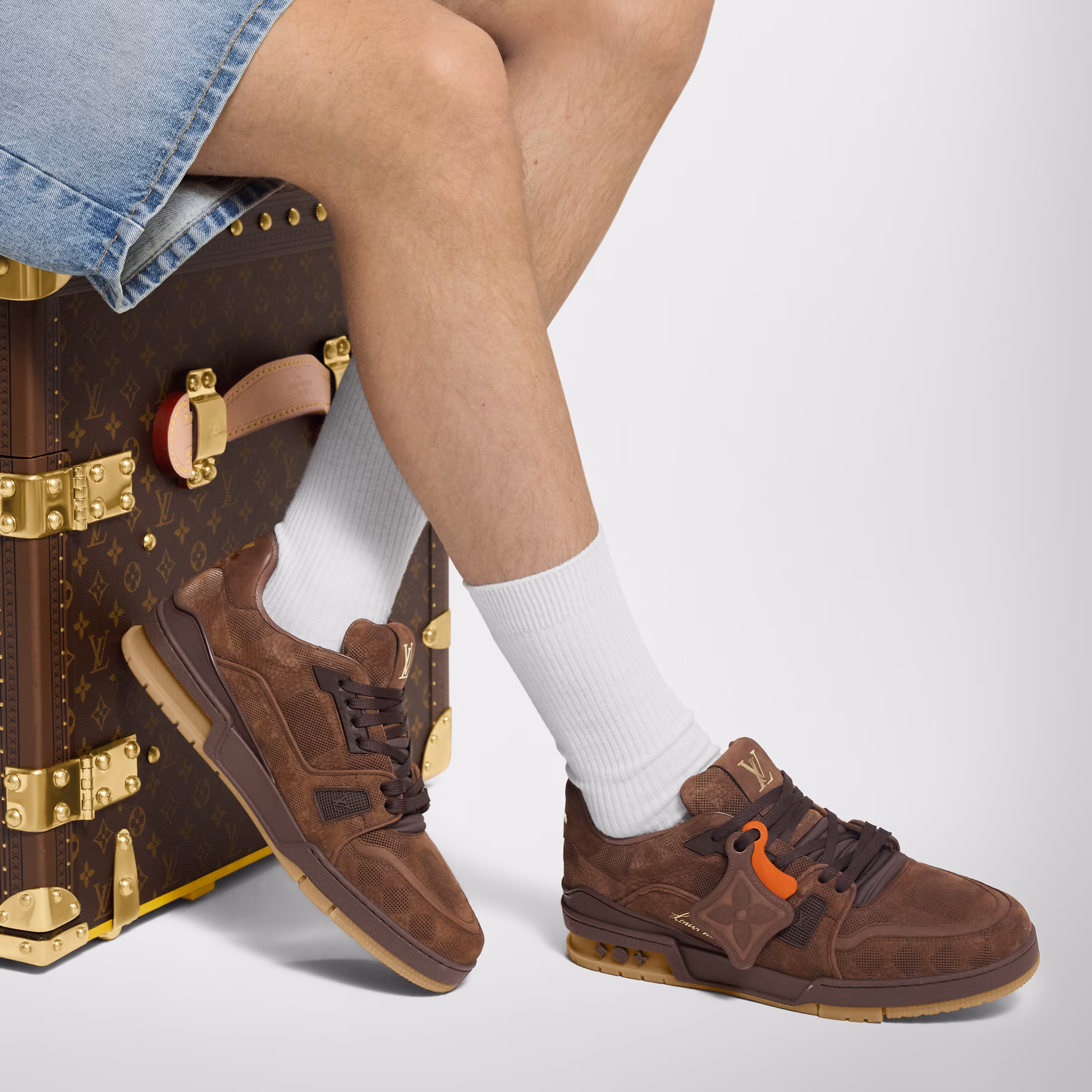 LV Trainer Sneaker Marron - Image 6