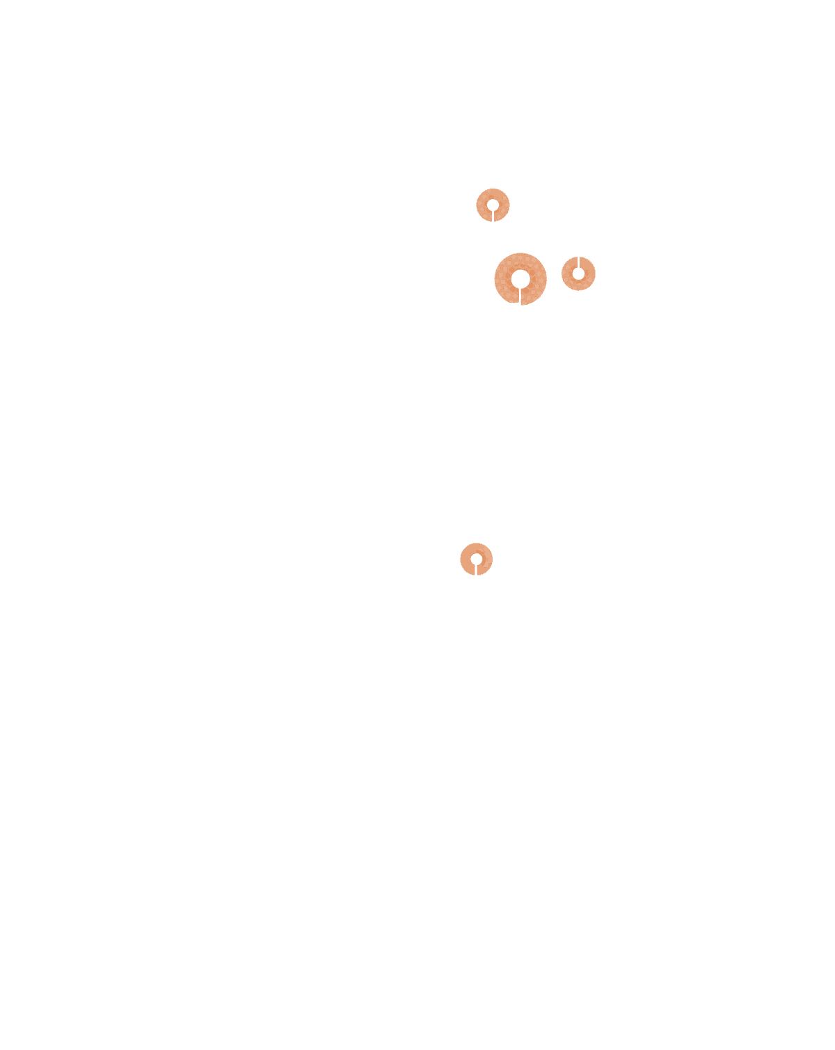 Community building and friendship activities in New Zealand for youth development.
