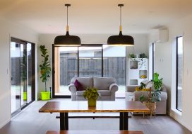 Modern open-plan living room with large windows and indoor plants in New Zealand home.