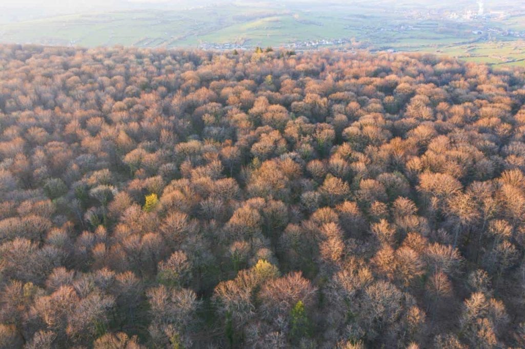 luxembourg ardennes