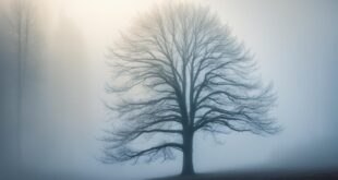 art of silence