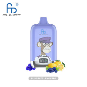 RandM Digital Box 12000 Blue Razz Lemonade