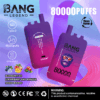 Bang Legend 80000 Blueberry Ice/Strawberry Banana/Mixed Berries