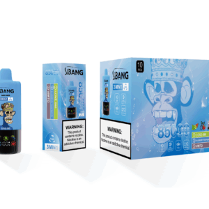 Bang Leader 85000 Love 666/Blueberry Raspberry/Vimto