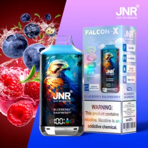 JNR Falcon X 18000 Blueberry Raspberry