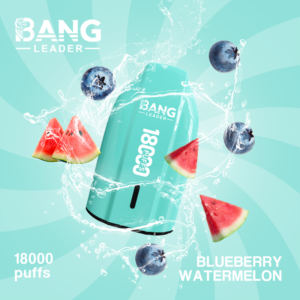 Bang Leader 18000 Blueberry Watermelon