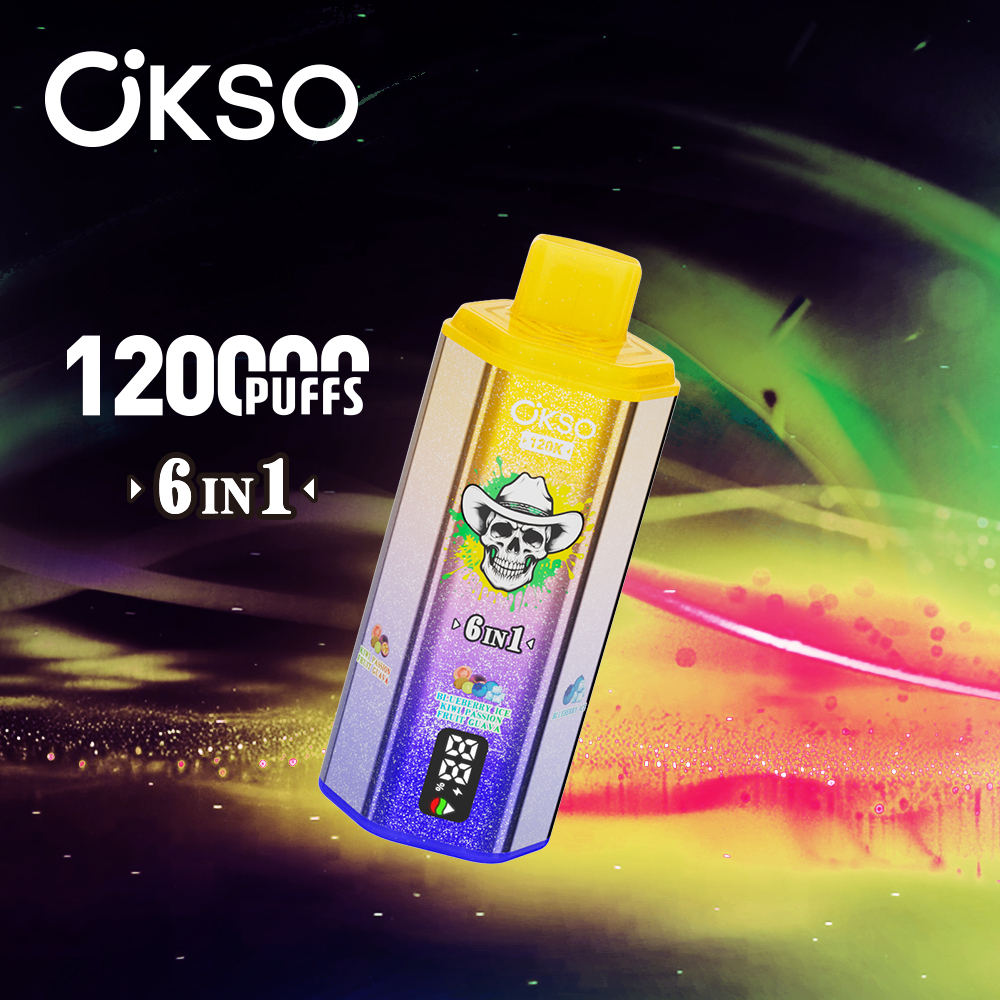 OKSO 6IN1 120K Kiwi Passion Fruit Guava/Blueberry Ice/Dragon Fruit Ice