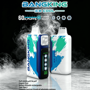 60000 Züge Einweg Vape kaufen – 60000 Puffs E-Zigarette günstig & Top  Modelle