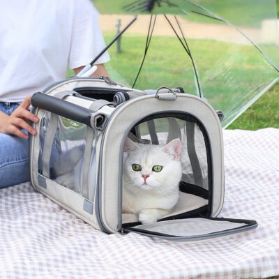 ClearPaw Travel Carrier