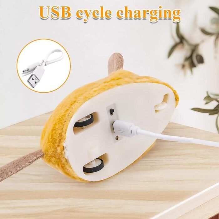 7cd68fc5-f619-4ab9-b37a-7ad6ee99f36e.jpg Electric mouse toy