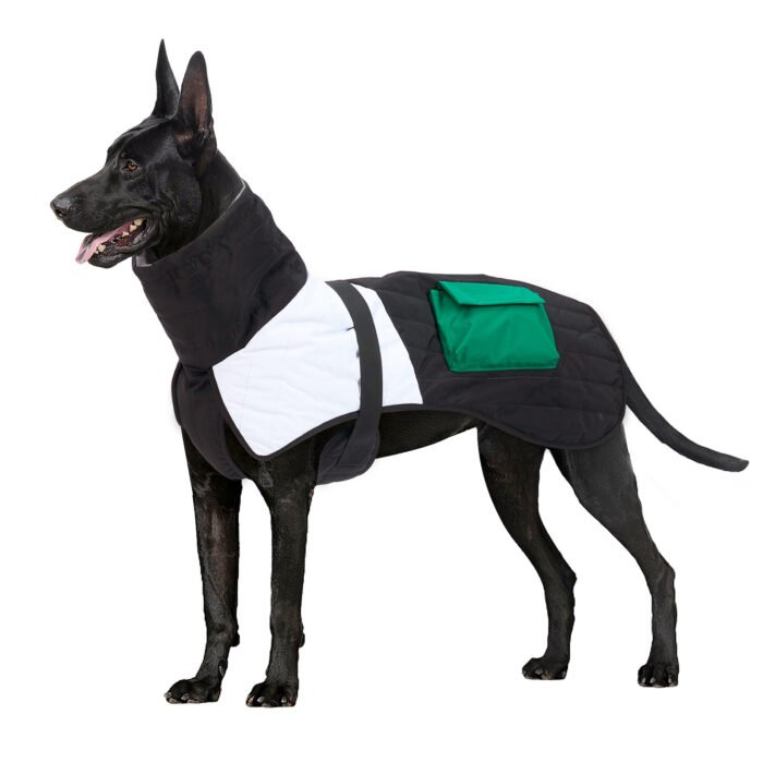 e107c9ab-f0f5-41d2-b367-9ded6578fc38.jpg Dog Winter Coat