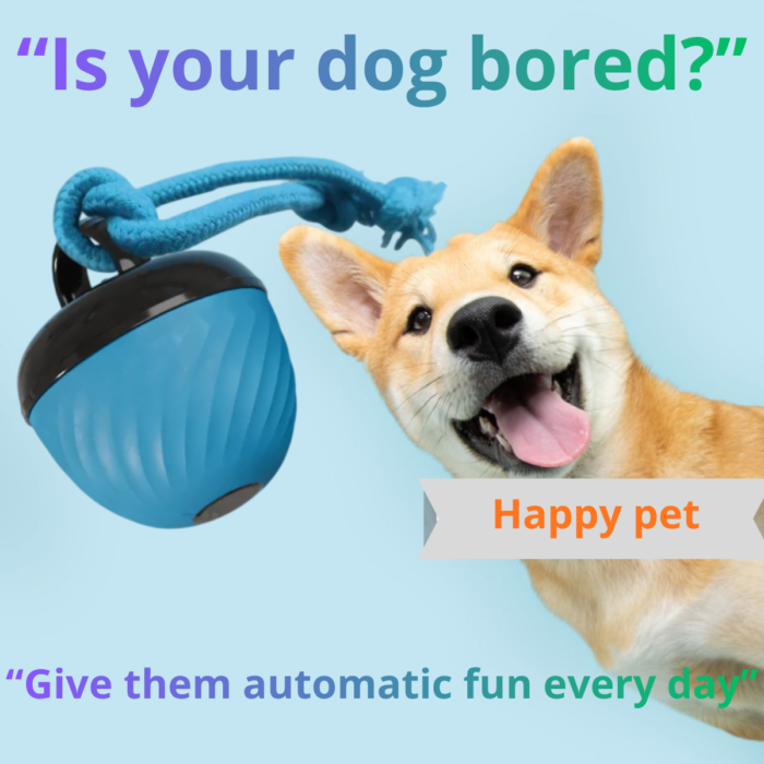 “¿Tu perro se aburre” PawBot