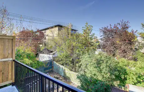 Bright backyard scene with lush trees, fences, and a house in a quiet neighborhood.