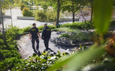 Gårdstensbostäder söker trygghetsvärd