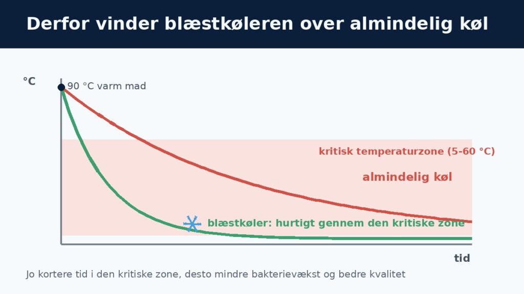 Hoshizaki Blaestkoeler 2026 3 Anvendelse