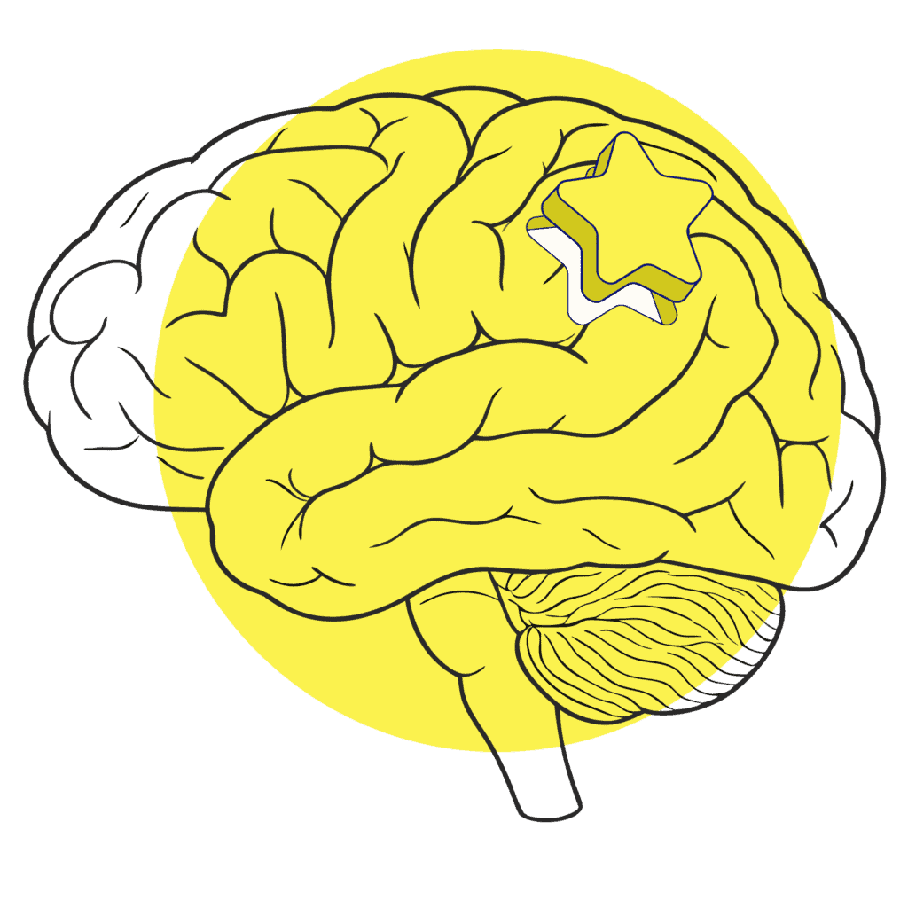 Illustration eines Gehirns, in den ein Stern eingefügt wird. So beeinflusst Neuromarketing deine Wahrnehmung.