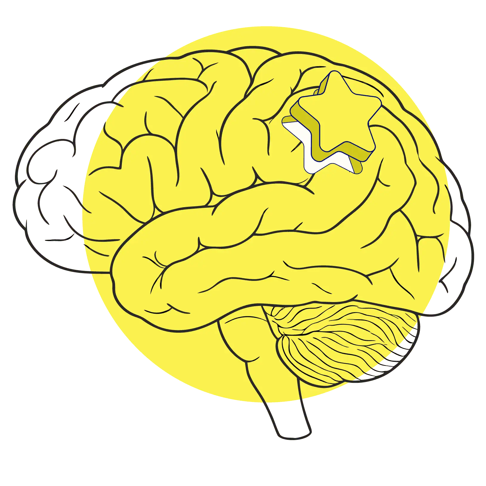 Illustration eines Gehirns, in den ein Stern eingefügt wird. So beeinflusst Neuromarketing deine Wahrnehmung.