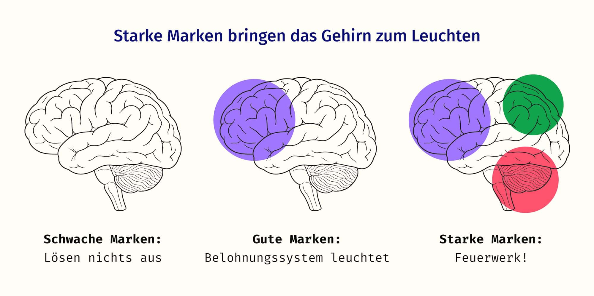 3 Bilder von einem Gehirn. Das erste sieht eine schwache Marke und tut gar nichts. Das zweite sieht eine gute Marke und das Belohnungsysstem leuchtet. Das dritte sieht eine starke Marke und alles leuchtet!