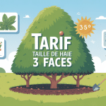 illustration du tarif taille de haie 3 faces par un jardinier