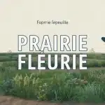 Prairie fleurie : sol pauvre et biodiversité au jardin