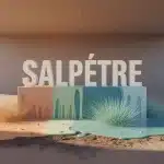 Salpêtre et efflorescences blanches sur mur humide