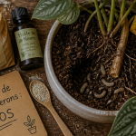 Tuer les larves de moucherons avec traitements naturels