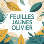 Illustration olivier avec feuilles jaunes et vertes