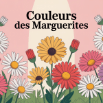 Illustration bouquet marguerite couleurs