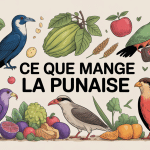 que mange la punaise illustration globale alimentation