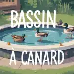 bassin à canard clair avec canards et plantes aquatiques