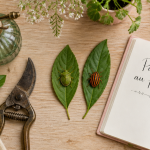 Punaise de jardin verte et diabolique sur feuilles, outils de jardin