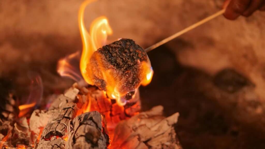 firewood,marshmellow