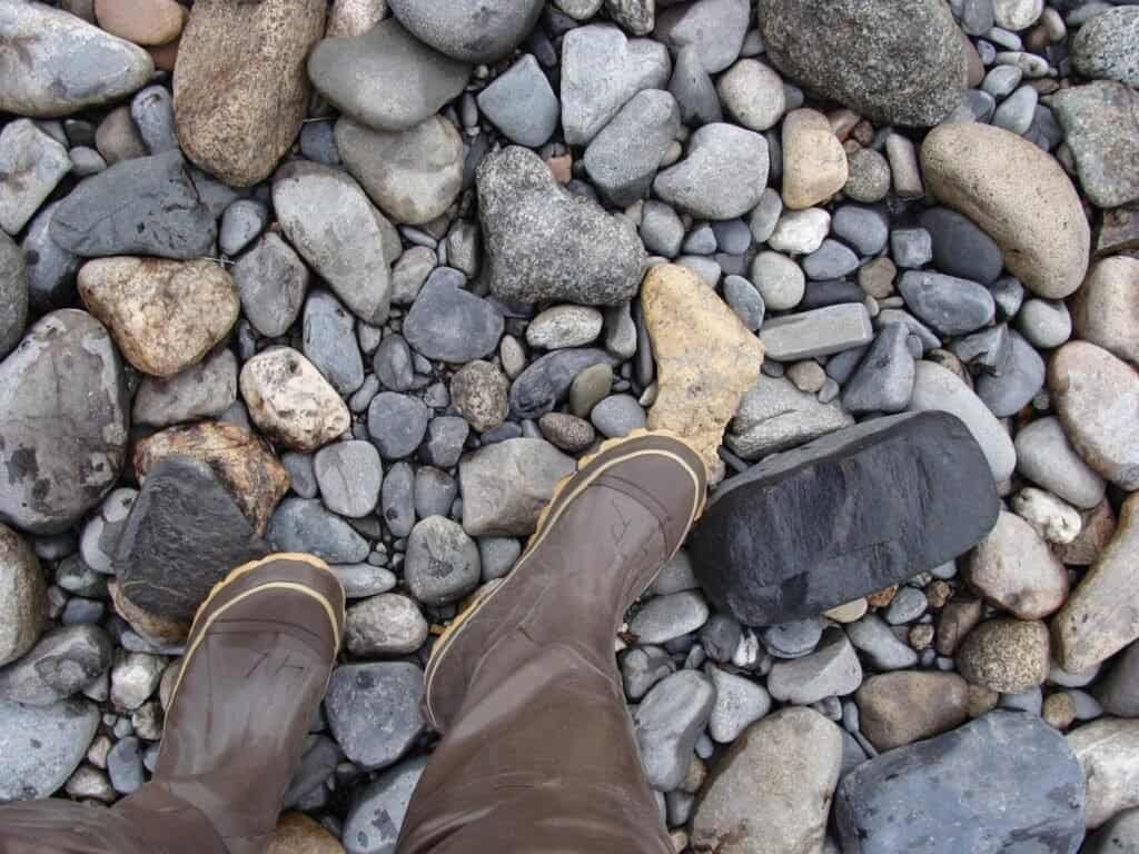 wellington boots