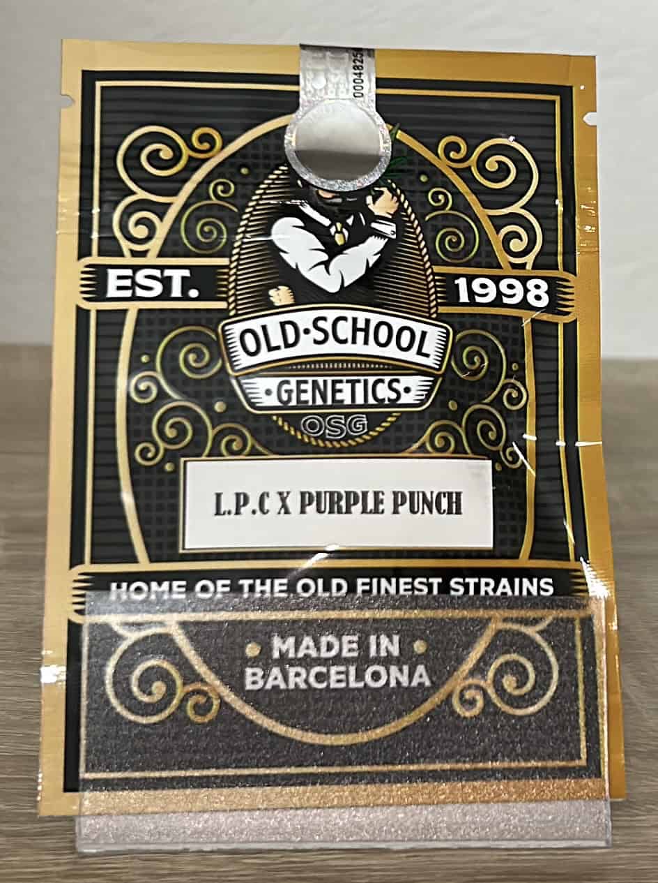 London Pound Cake x Purple Punch