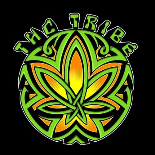 Cannabis leaf logo with "The Tribe" text in green and orange on black background.