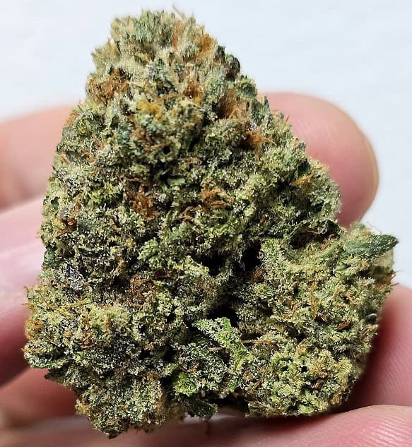 High-quality cannabis bud with dense green and orange trichomes.