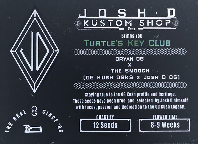 josh d og - turtle's key club - Image 4