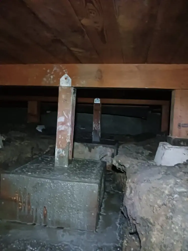 A dark, deteriorating basement interior with exposed concrete foundation blocks and wooden support beams. The concrete blocks are weathered and stained with dark water marks and rust. Two wooden support posts stand in the center of the frame, showing signs of decay and water damage with white mold-like growth on their surfaces. The wooden ceiling beams are visible at the top of the frame, showing natural wood grain patterns and darkening from moisture. The space is completely empty, with rough, unfinished walls on both sides. The lighting is dim and creates shadows in the darker corners of the basement. The concrete foundation blocks are arranged in a rectangular pattern, forming the perimeter of the basement space. The overall image has a moody, abandoned atmosphere with earthy brown and gray tones dominating the color palette.